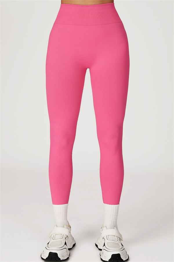 The Sculpt Sports Bra Leggings 2-Piece Set