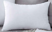 4pcs Throw Pillow Inserts, Square Cushion Inner Soft Fluffy Plump Stuffer Cushion Pillow Core White Pillow Inserts Christmas Decor Halloween Decor Bed Sofa Home Decor