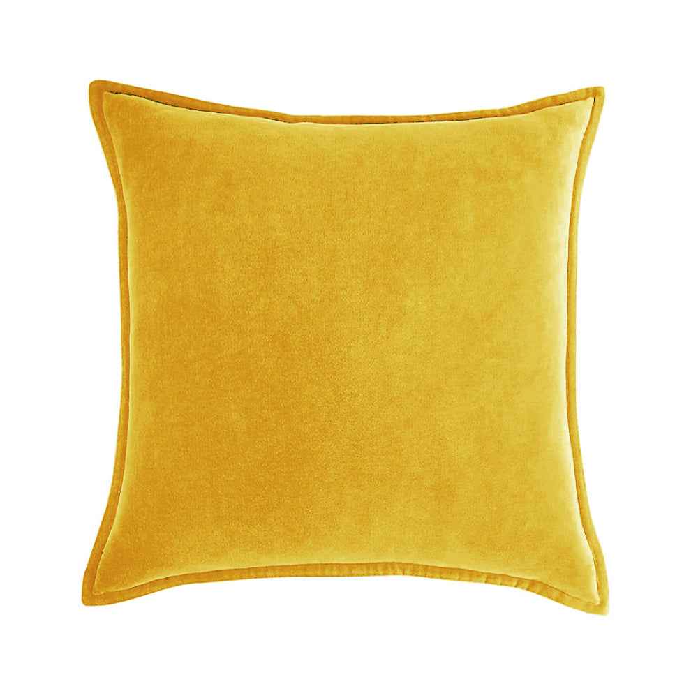 20''x20'' luxe velvet throw pillow  | 19 colors soft & elegant piped edge design | modern couch & bedroom accent | insert included