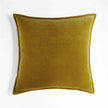 20''x20'' luxe velvet throw pillow  | 19 colors soft & elegant piped edge design | modern couch & bedroom accent | insert included