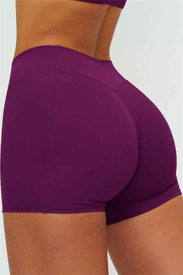 The Lushness Y-Back Sports Bra Shorts 2-Piece Set