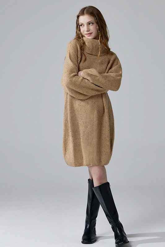 Plus Turtleneck Balloon Confetti Sweater Dress