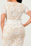 Vintage Lace Charm Dress