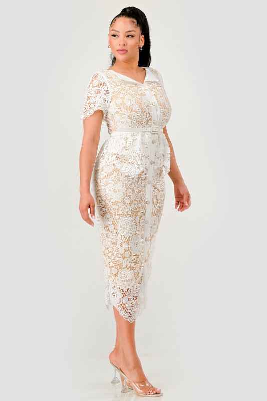 Vintage Lace Charm Dress