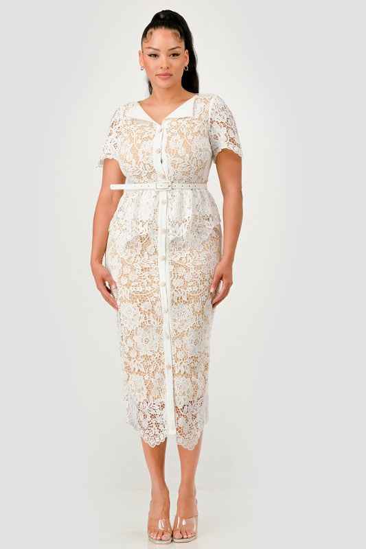 Vintage Lace Charm Dress