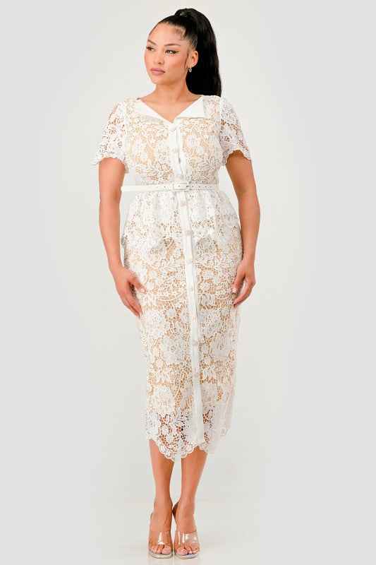 Vintage Lace Charm Dress