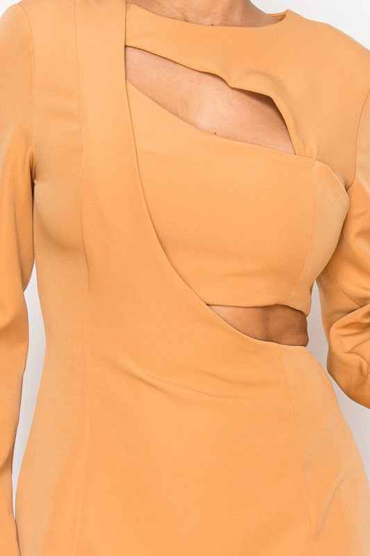 Elegant Cut Out in Long Sleeve Mini Dress