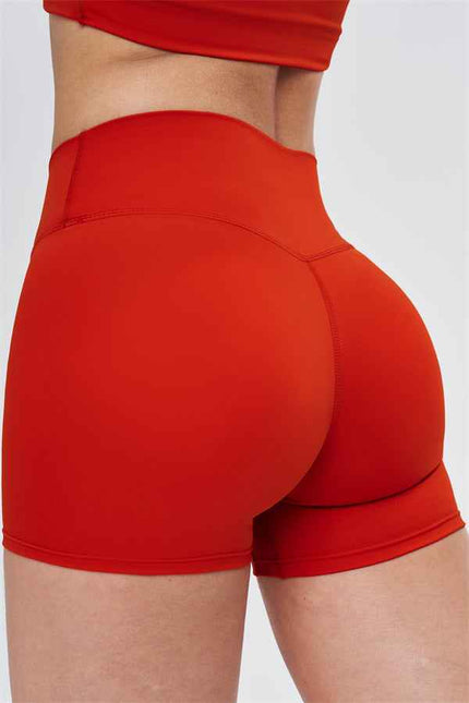 The New Isabella Shorts