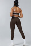 The Elevate Sports Bra