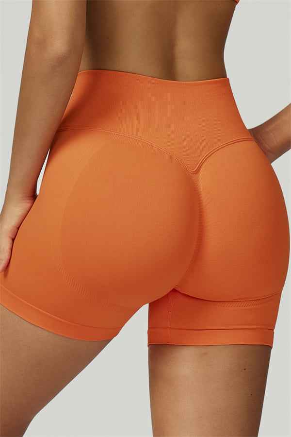 The Prime Long Sleeve Crop Top Shorts 2-Piece Set
