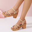 Foreign Trade Round Head Chunky Heel Ankle-strap Buckle Sandals