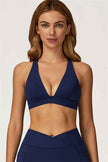 The Glacier Sports Bra