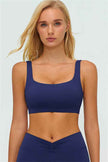 The Lushness V-Back Sports Bra Shorts 2-Piece Set