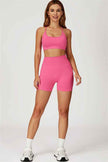 The Sculpt Sports Bra