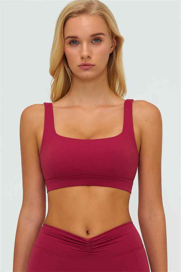 The Lushness V-Back Sports Bra Shorts 2-Piece Set
