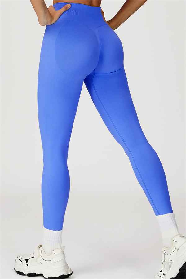 The Sculpt Sports Bra Leggings 2-Piece Set