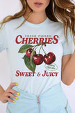 Fresh Picked Cherries Graphic Plus Tee - Pikemla