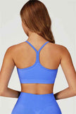 The Sculpt Sports Bra