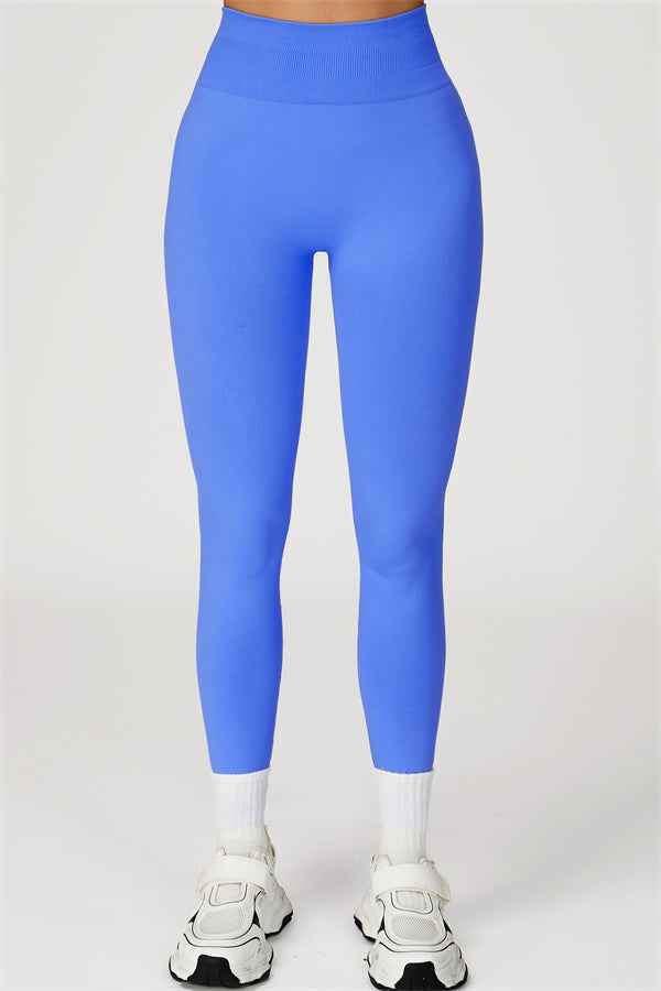 The Sculpt Sports Bra Leggings 2-Piece Set