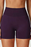 The Elara Sports Bra Shorts 2-Piece Set