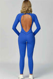The Anew Long Sleeve Jumpsuit