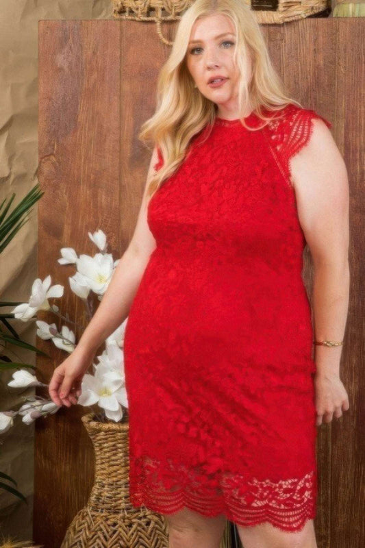 Lace Crochet Mini Raglan Dress With Zipper Back - Pikemla