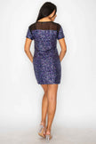 Sparkle Sequins & Mesh Cap Sleeve Mini Dress