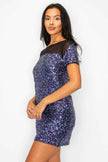Sparkle Sequins & Mesh Cap Sleeve Mini Dress