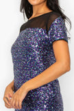 Sparkle Sequins & Mesh Cap Sleeve Mini Dress