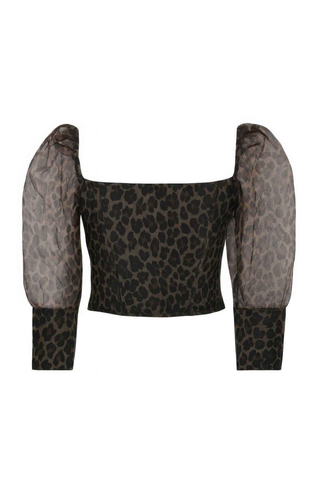 Sheer Leopard Print Crop Top