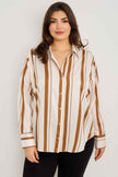 Plus Size Vertical Stripe Button Down Blouse