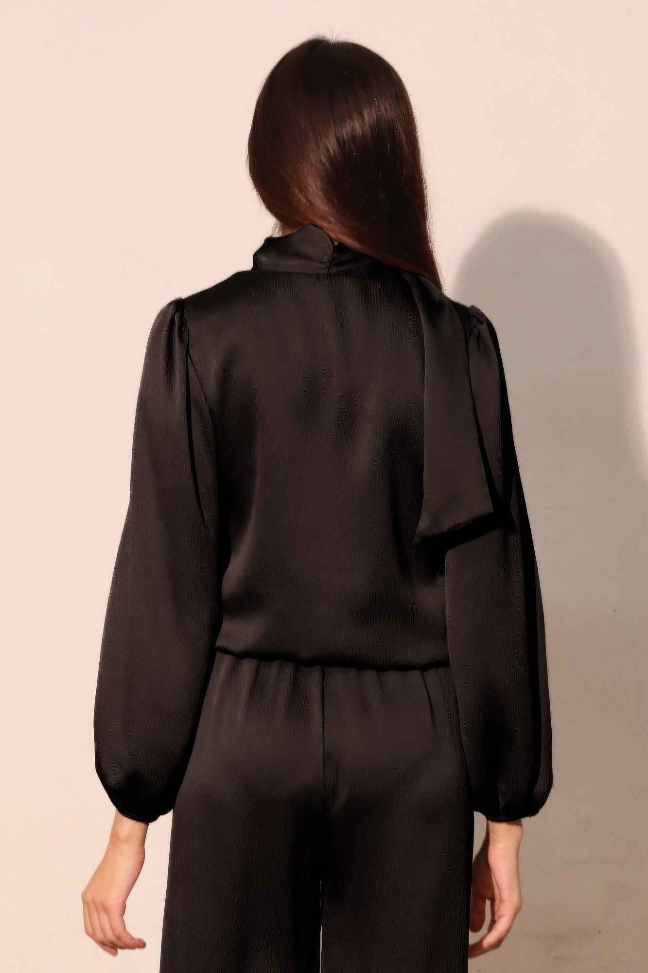 Hammered Satin Long Sleeve Crop Top