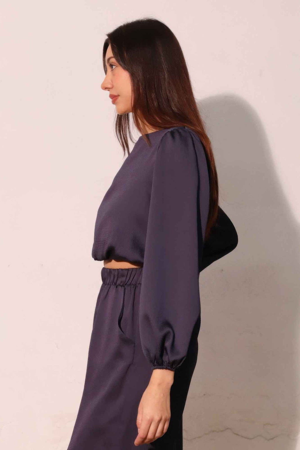 Hammered Satin Long Sleeve Crop Top