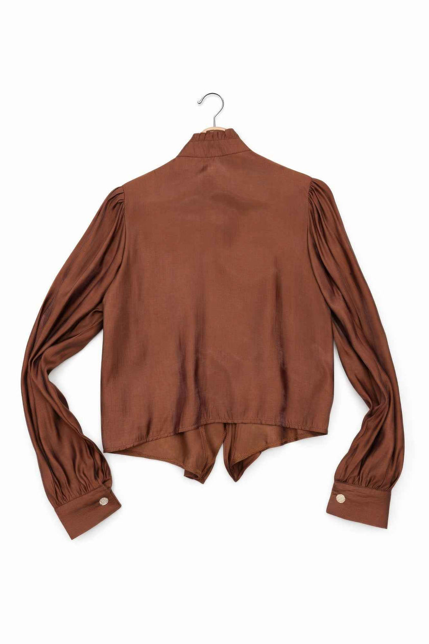 Elegant Satin-finish Victorian Button-up Top