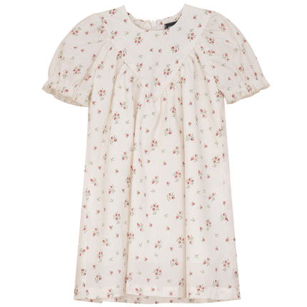 Blueberry Printed Dress