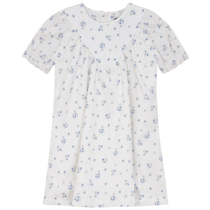 Blueberry Printed Dress