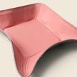 Travel valet tray - Pink