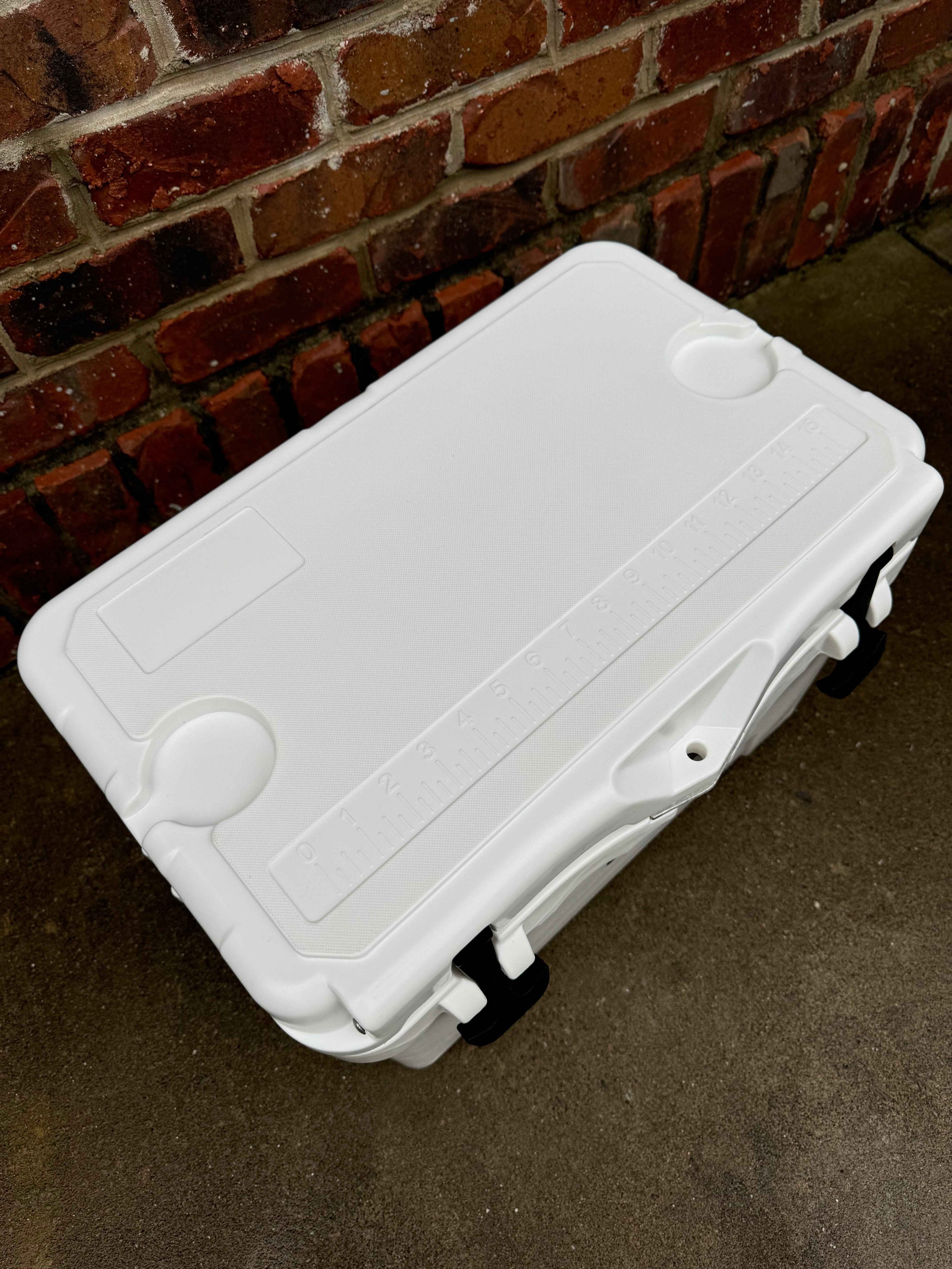 Polar Bear 20 Hard Cooler