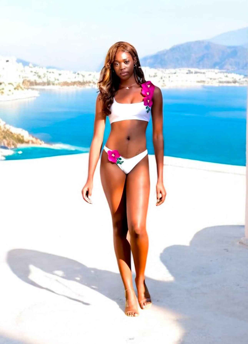 Orchids of Biscayne Top