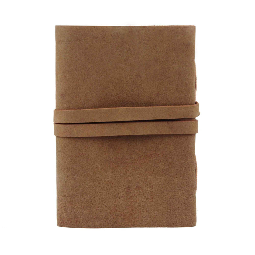 The Sapling Notebook