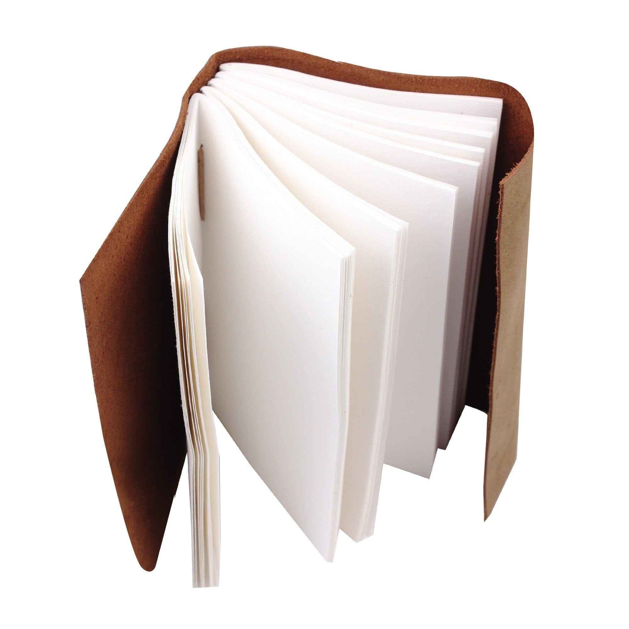 The Sapling Notebook