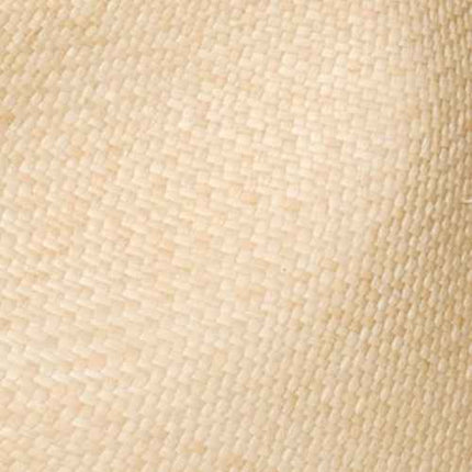 Boston Trilby Panama