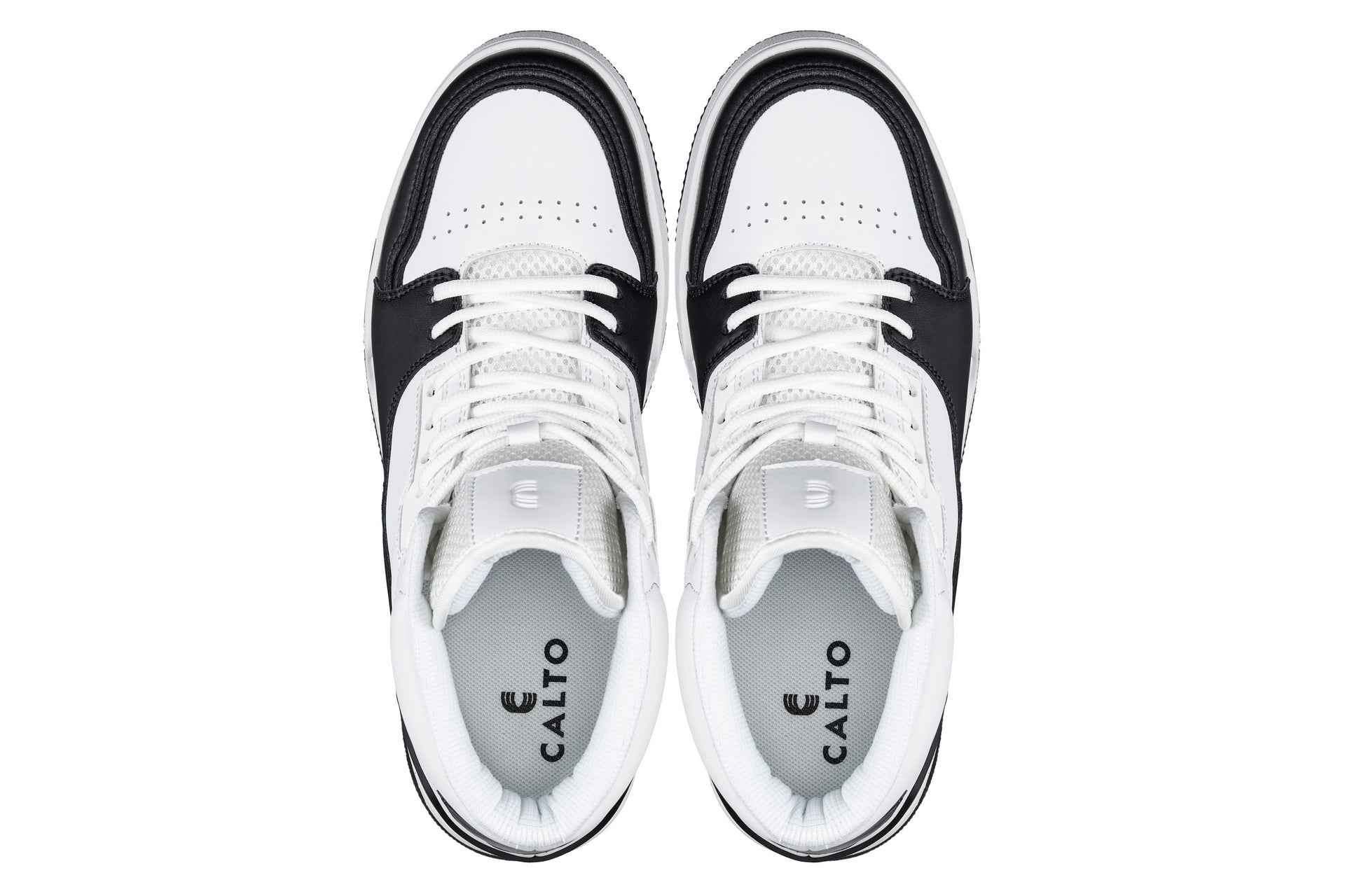 CALTO - S4752 - 3 Inches Taller (White/Black) - High Top Sneakers