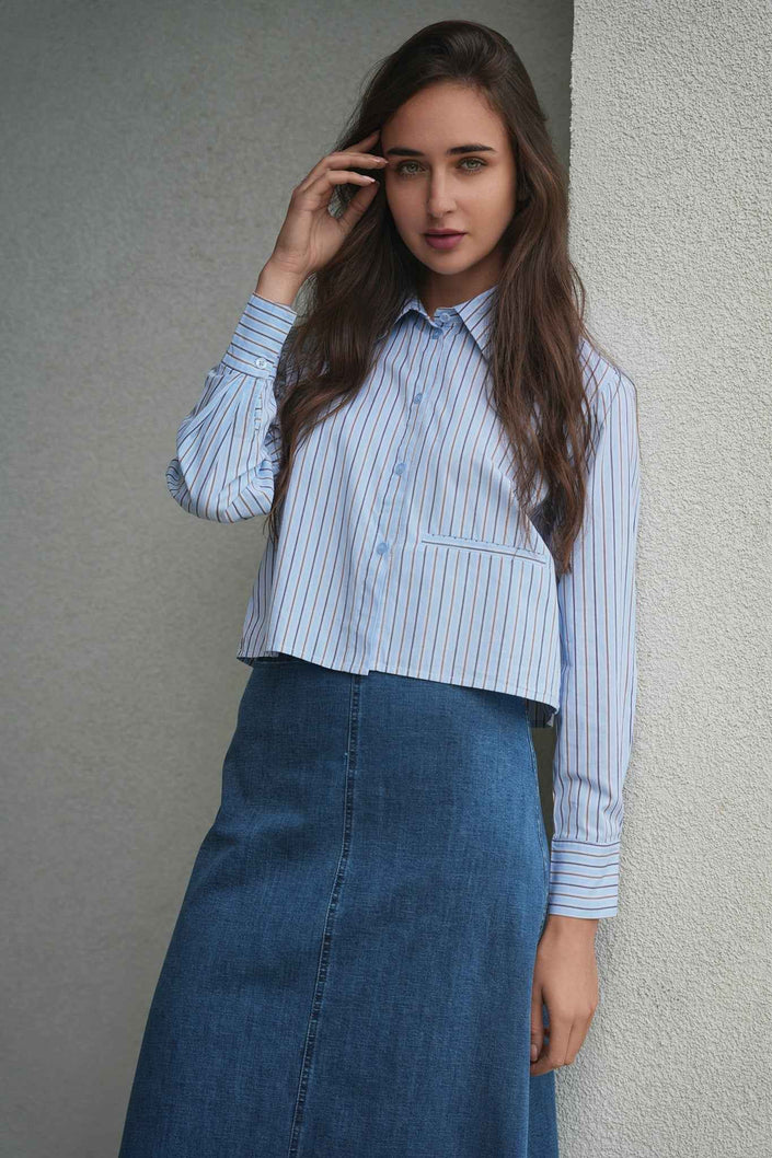Cropped Stripped Blouse