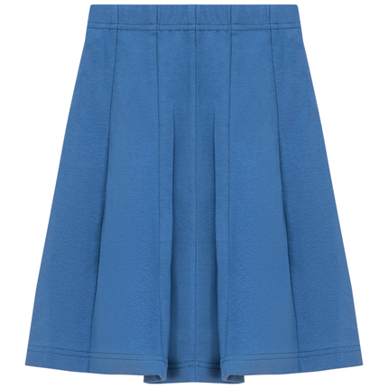 Ribbed Short Panel Skirt