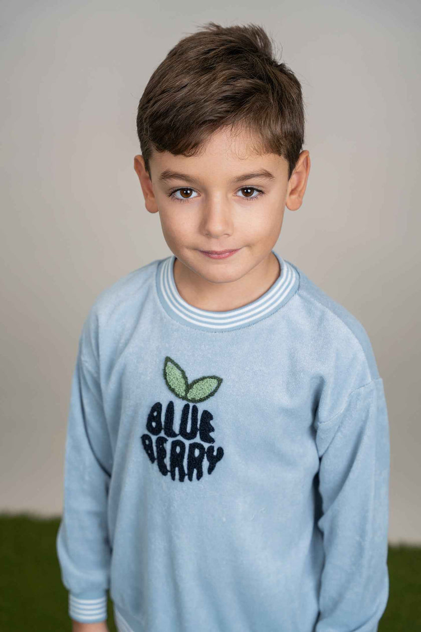 Blue Berry Terry Top