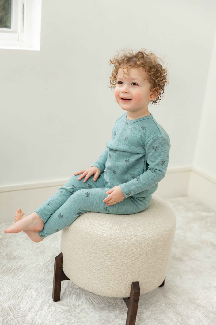 Butterfly Turtle Printed 2Pc Set