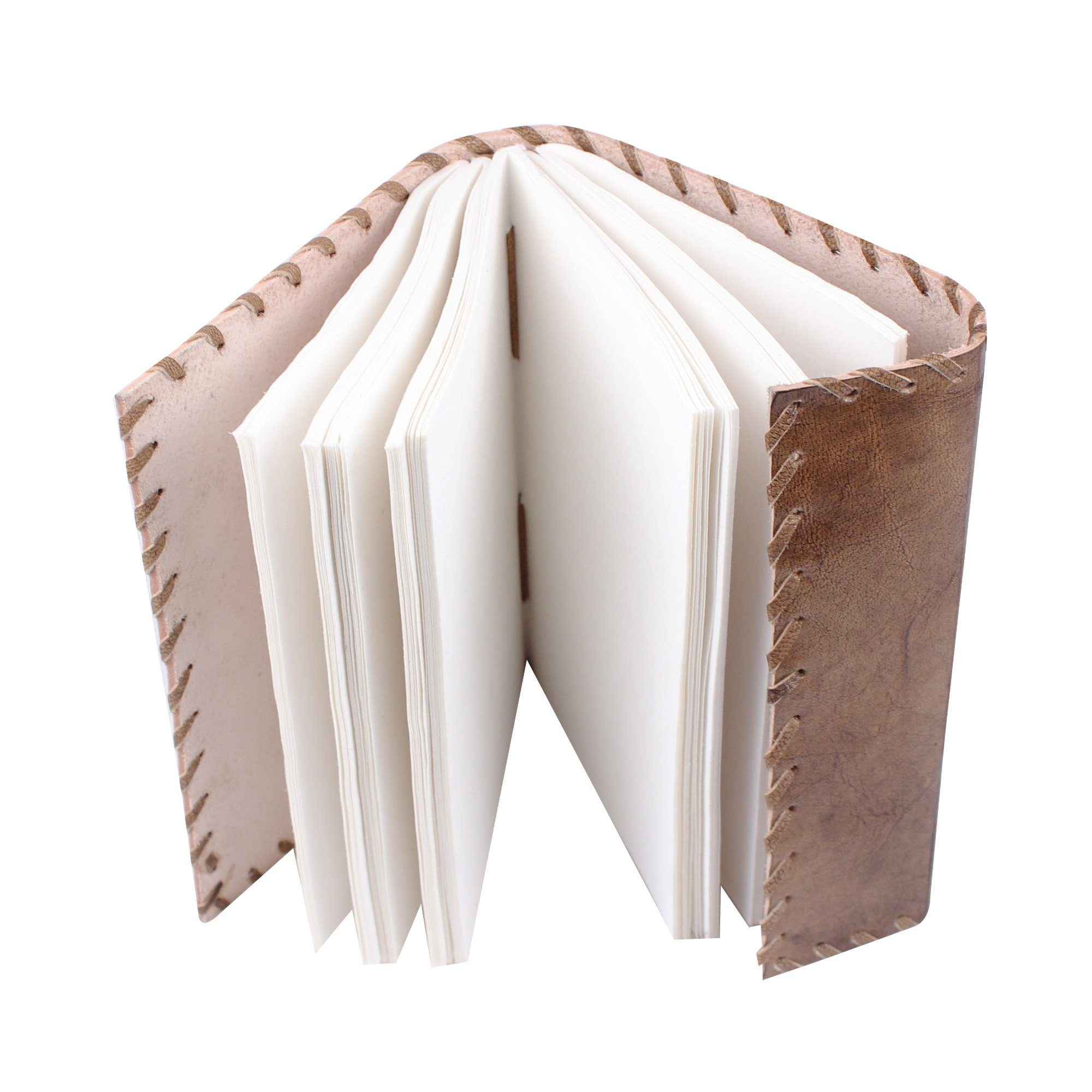 Seedling Leather Notebook