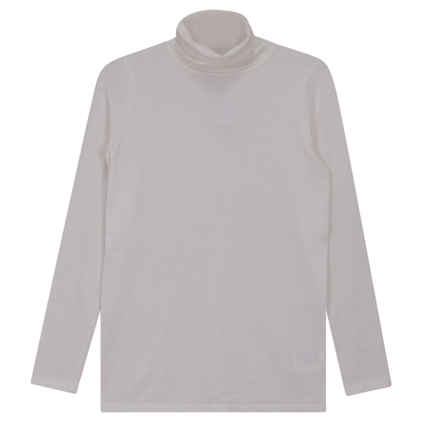 Thin Knit Turtle Neck Top