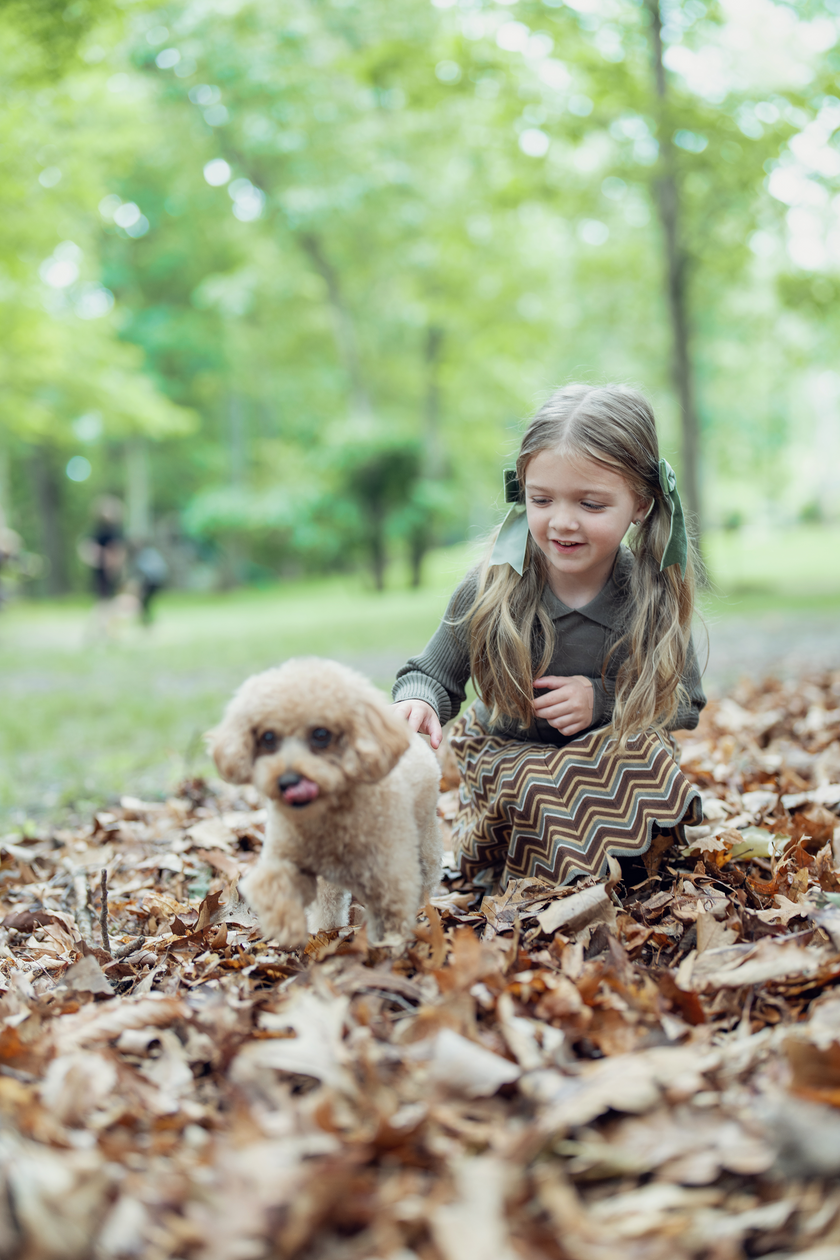 Zig Zag Skirt Skirt With Straps
